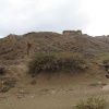 Sidi Bounouar