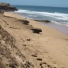 Ait Idir  la région d'Essaouira Haha   