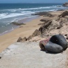 Ait Idir  la région d'Essaouira Haha   