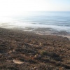 Sidi boulfdail 