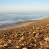 Tissi Kaltoum . Tabogdayat.imi Wassif.Sidi boulfdail 