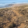 Agharass Iramman . Tabogdayat. imi Wassif.Sidi boulfdail 