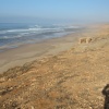   Sidi Boulfdayl. السلاح