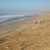   Sidi Boulfdayl. السلاح