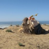 Talat Bouazza Sidi Boulfdail  ابركو الشينوا 