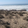  Talat Bouazza Sidi Boulfdail Belhdar