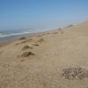 Talat Bouazza Sidi Boulfdail