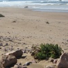 Talat Bouazza Sidi Boulfdail