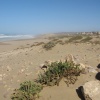 Talat Bouazza Sidi Boulfdail  ابركو الشينوا 
