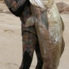 Dominique Djian