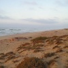  	 Sidi Bounouar-Aglou 