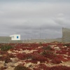Oued Azksis