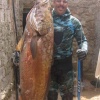 Chasse Sous – Marine  a  AGADIR
