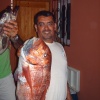 Chasse Sous Marine Au Maroc
