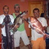 Chasse Sous Marine Au Maroc