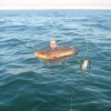 Chasse Sous Marine Au Maroc