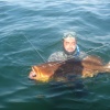 Chasse Sous Marine Au Maroc