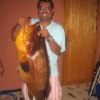 Chasse Sous Marine Au Maroc