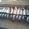 Chasse Sous Marine Au Maroc