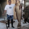 Chasse Sous Marine Au Maroc