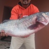 Chasse Sous Marine Au Maroc