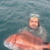 Chasse Sous Marine Au Maroc