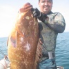 Chasse Sous Marine Au Maroc