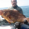 Chasse Sous Marine Au Maroc