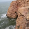 sidi warzeg 