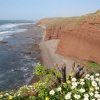 Plage Sidi Ahmed Rguibi à 4 km de la ville Sidi ifni