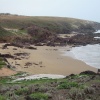 Tiboujaaratine