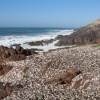 Sidi Boulfdayl Jalb darat sfint 
