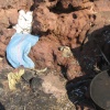 Sidi Boulfdayl Jalb .Darat Sfint