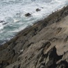 TAKOUMBA  oued ASSAL