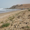 TAKOUMBA guelmim