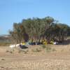 taganza