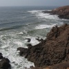 bouchani