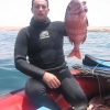 CHASSE SOUS-MARINE AU MAROC