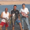 CHASSE SOUS-MARINE AU MAROC