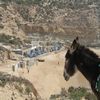  افتاس امرضيطسن .  Aftas Imerditssen 