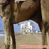 Sidi kaouki