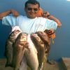 brahim casa