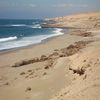  Sidi Wassay 
