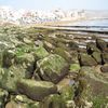 taghazout