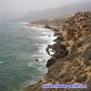 zaoul