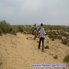 zaoul