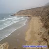 zaoul