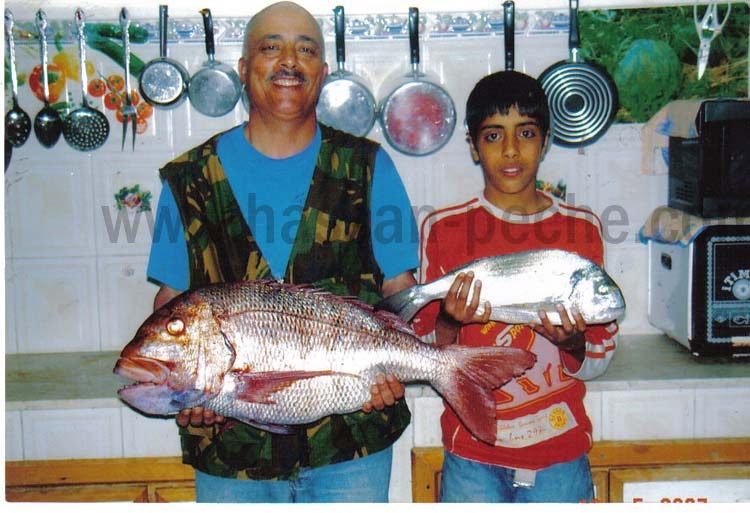 00000100alfi copie.jpg