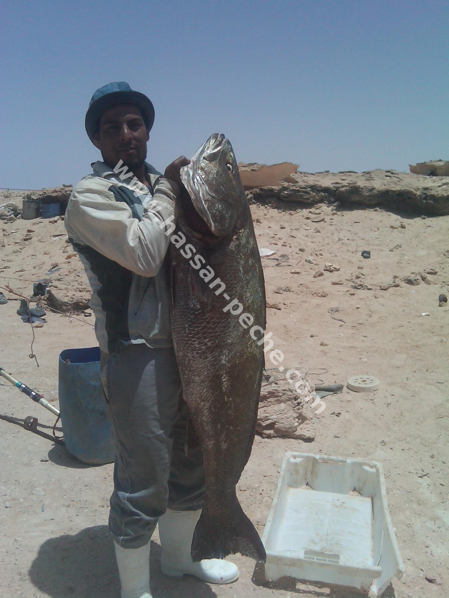 011aaaaab20130528.jpg