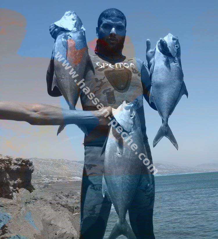 011aaaaabgbhnvgggg.jpg